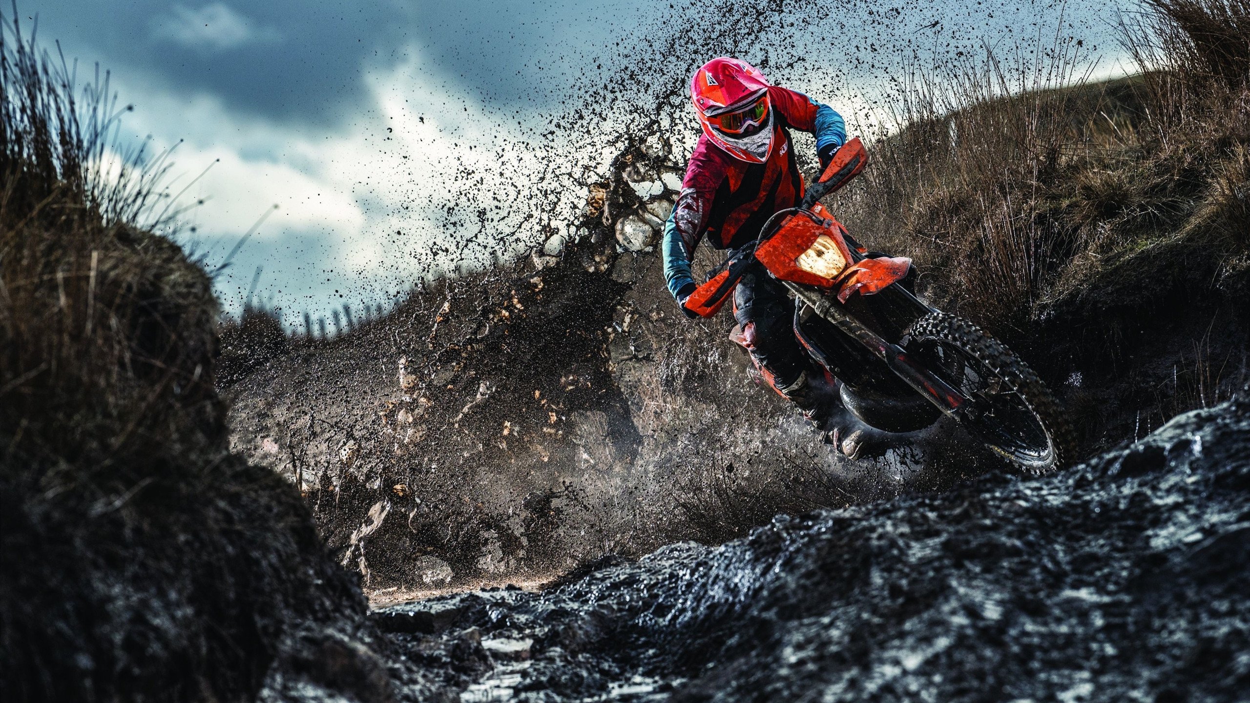 开云-塔图姆遭遇十二连败？电竞圈的跨界乌龙与MAD教练的真实压力，塔图姆十二连败真相，电竞乌龙背后的MAD教练压力实录